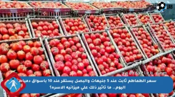 سعر الطماطم ثابت عند 5 جنيهات والبصل يستقر عند 10 بأسواق دمياط اليوم.. ما تأثير ذلك على ميزانية الأسرة؟